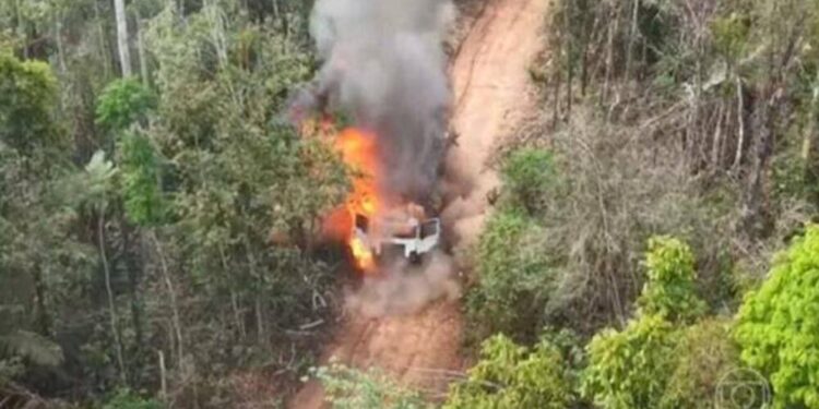 Ação teve como objetivo combater a exploração ilegal de madeira