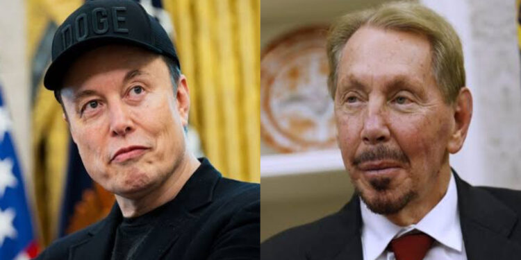 Elon Musk e Larry Ellison