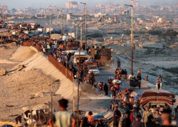 Carros, caminhões e carroças, foram utilizados para transporte