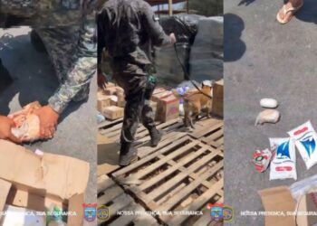 A apreensão ocorreu na manhã desta quarta (10), no Porto de Santo Antônio.