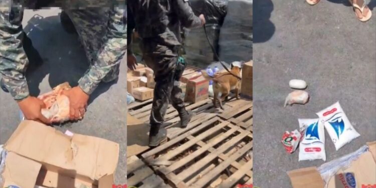 A apreensão ocorreu na manhã desta quarta (10), no Porto de Santo Antônio.