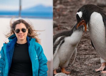 Patrícia Azvdo é jornalista e documentarista