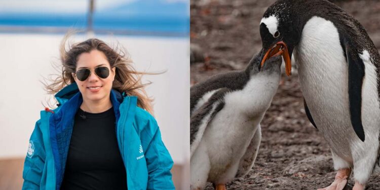 Patrícia Azvdo é jornalista e documentarista