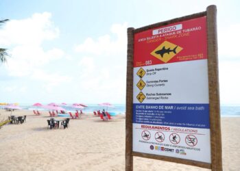 A partir deste domingo, costuma aumentar o número de banhistas nas praias do litoral pernambucano.