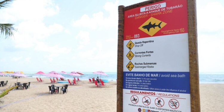 A partir deste domingo, costuma aumentar o número de banhistas nas praias do litoral pernambucano.