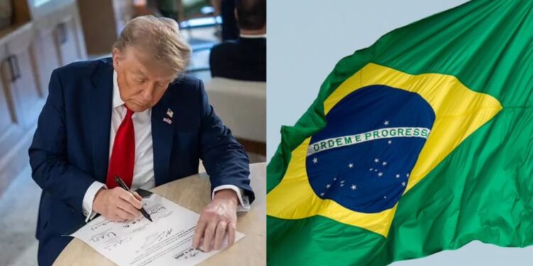 Donald Trump, presidente dos Estados Unidos.