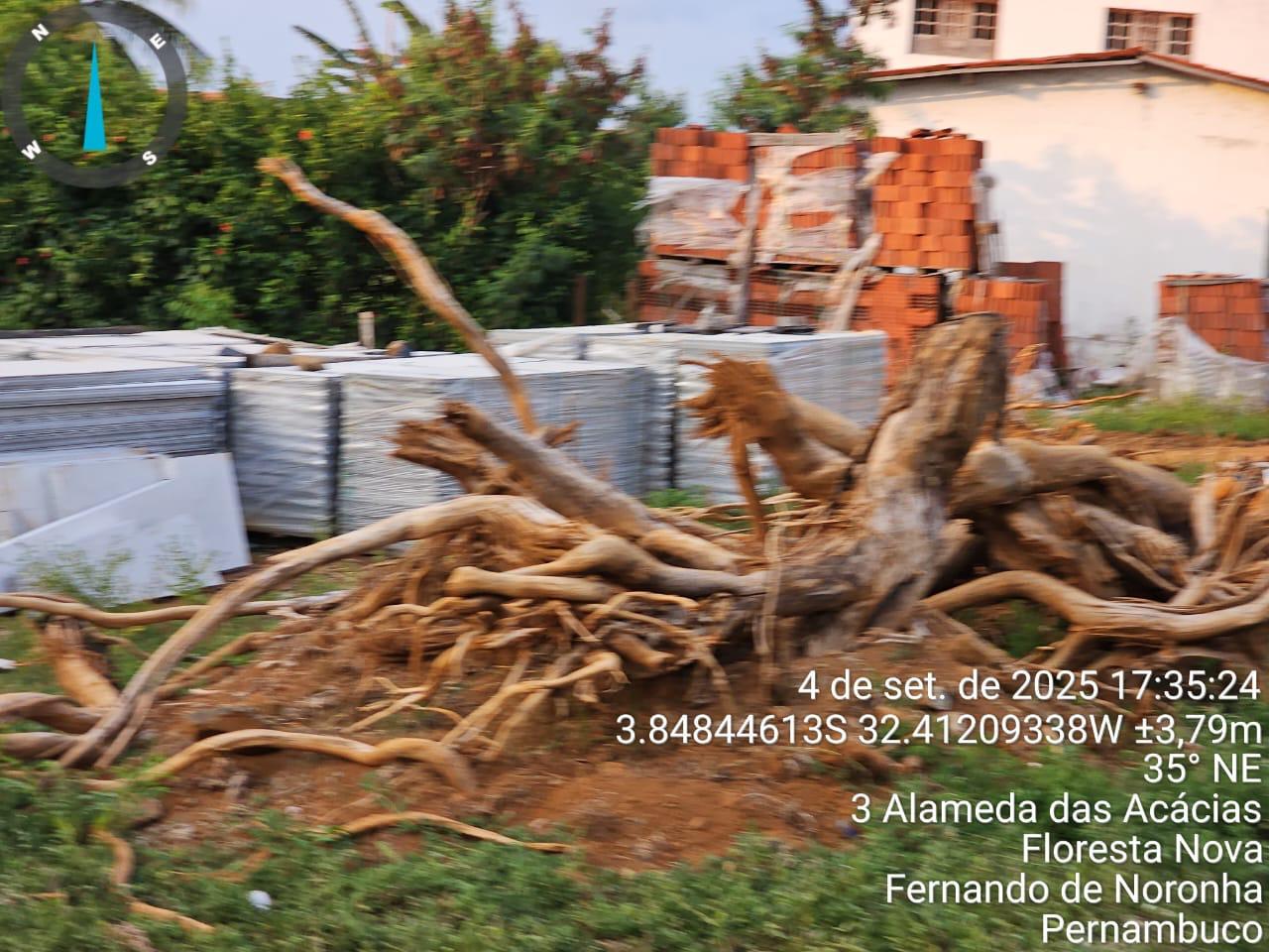 Moradores denunciam acumulo de lixo em Fernando de Noronha