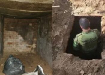 Um dos bunkers na região de mata de Icaraíma, no Paraná.