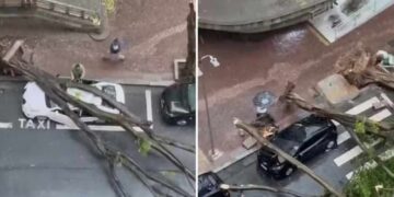 Defesa Civil emite alerta para temporais com ventos fortes na Grande SP