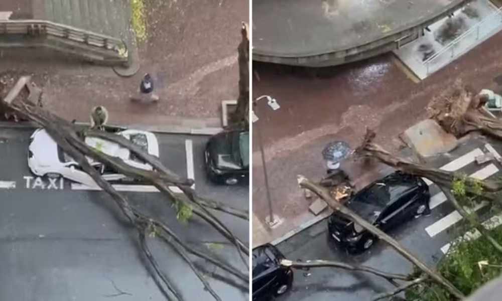 Temporal causa estragos na Grande SP deixando mais de 500 mil imóveis sem energia