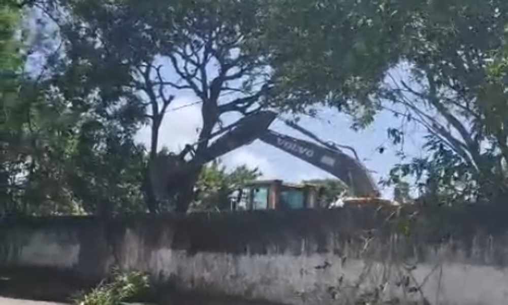 Derrubada de árvores para obra do Vila Aeronáutica provoca revolta nos moradores