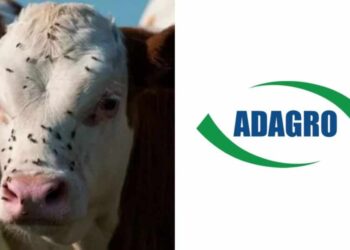 Adagro promete reforçar combate à infestação da mosca-do-estábulo