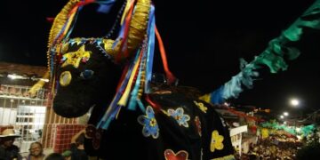 Boi da Macuca sai à ruas no Mardi Gras em Recife