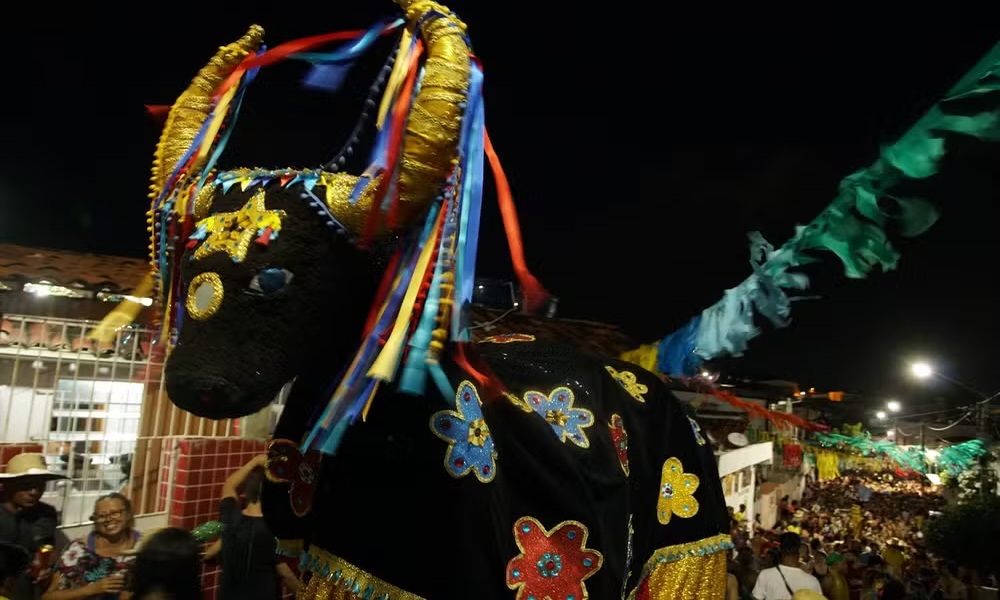 Agenda cultural no grande Recife: CasaCor, Flaira Ferro, Boi da Macuca e Zé Ramalho