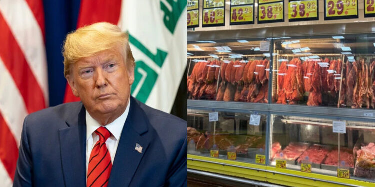 Volume exportado em setembro chegou a 314,7 mil toneladas