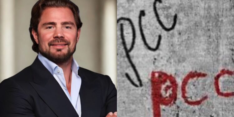 Daniel Vorcaro, Banqueiro de investimento.