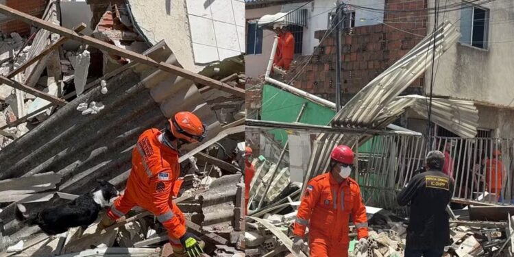 Bombeiros e cão farejador buscam cadeirante desaparecida após explosão em Olinda