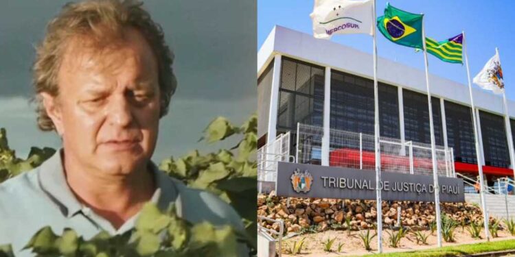 Empresário é acusado de pagar R$ 26 milhões por decisão judicial no Piauí