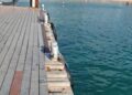 Rampa de acesso no Porto de Noronha apresenta risco