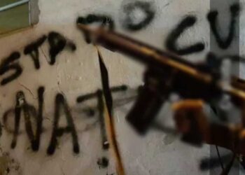 Políticos adotam cor verde em campanhas no Complexo do Chapadão