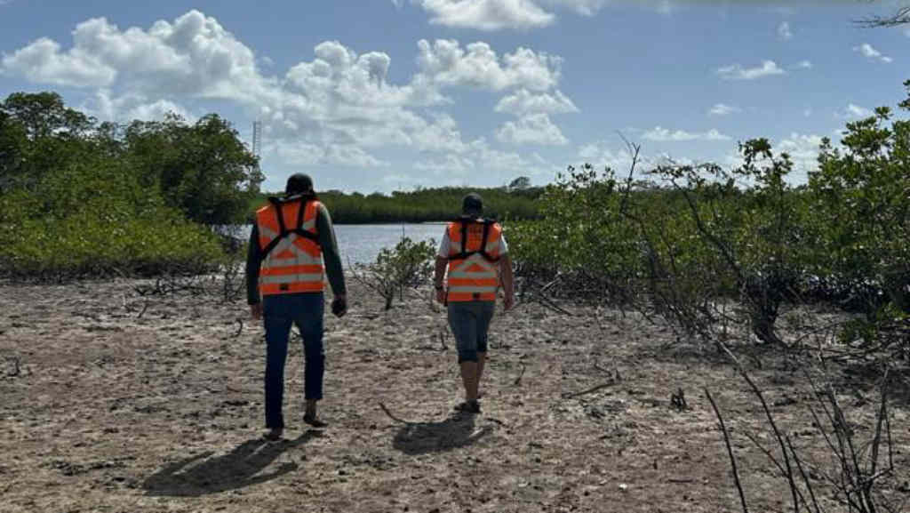 CPRH nega danos à fauna marinha por obra da dragagem do Porto de Suape
