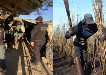 Fiscalização alcança três estados