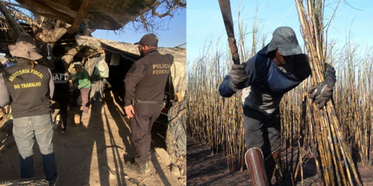 Fiscalização alcança três estados