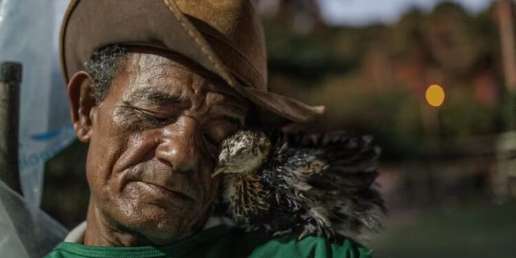 Shouder to lean on', fotografia premiada