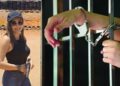 Maria Natália Tavares, 33 anos, é suspeita de balear o juiz Carlos Eduardo Mathias, de 51 anos.