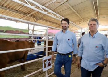 Secretário de Agricultura tem negócios ligados à pasta que comanda em SP
