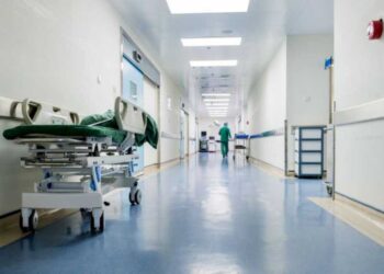 Mais de 300 tipos de vírus, bactérias e fungos estão sendo analisados