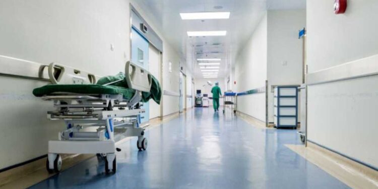 Mais de 300 tipos de vírus, bactérias e fungos estão sendo analisados