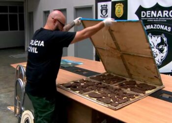 'Cocaína negra': investigadores encontraram a droga escondida em fundos falsos