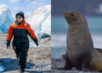 A produtora e empreendedora Patrícia Azvdo