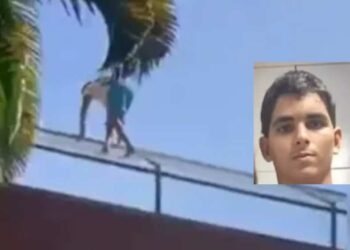 Jovem morreu ao entrar em jaula de leoa em Zoo de João Pessoa