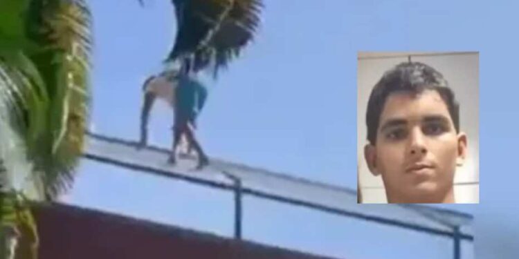 Jovem morreu ao entrar em jaula de leoa em Zoo de João Pessoa