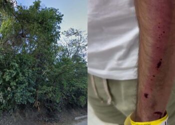 Vítima foi abandonada em área de mata, mas conseguiu sair