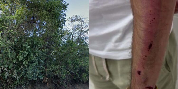 Vítima foi abandonada em área de mata, mas conseguiu sair