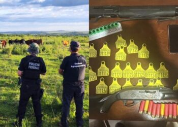 Foram cumpridos sete mandados de prisão preventiva e 11 mandados