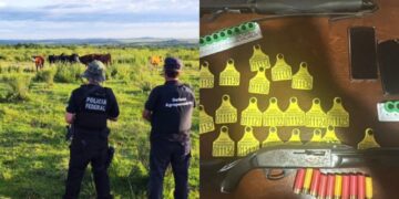 Foram cumpridos sete mandados de prisão preventiva e 11 mandados