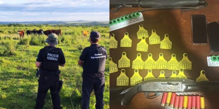 Foram cumpridos sete mandados de prisão preventiva e 11 mandados