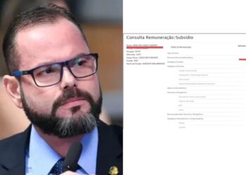 O senador Jorge Seif (PL-SC)