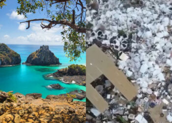 Ampibar Environmental Solutions tem até sexta-feira para retirar a quantidade de lixo acumulada