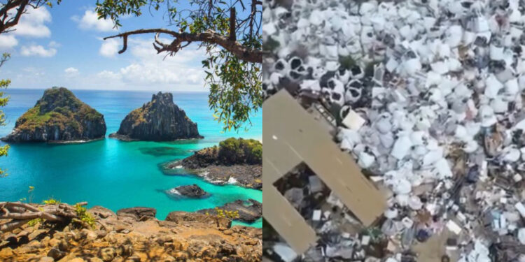 Ampibar Environmental Solutions tem até sexta-feira para retirar a quantidade de lixo acumulada