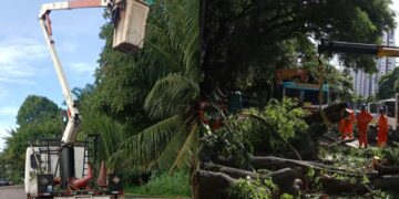 Liderança foi inabilitada em licitação de cerca de R$ 4,4 milhões