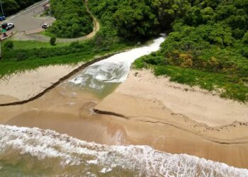 Registro do mangue alertou pesquisadores
