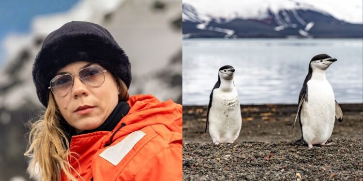 A documentarista Patrícia Azvdo.