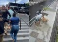 A Operação The Closet foi deflagrada pela Polícia Civil em cinco cidades de Pernambuco.