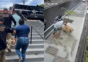 A Operação The Closet foi deflagrada pela Polícia Civil em cinco cidades de Pernambuco.