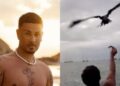 O influenciador foi multado pelo ICMBio ao divulgar imagens de aves sendo alimentadas